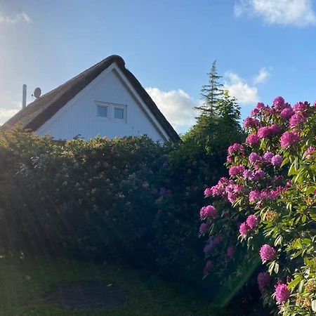 Ferienhaus Butterblume Sudbrookmerland Exterior photo